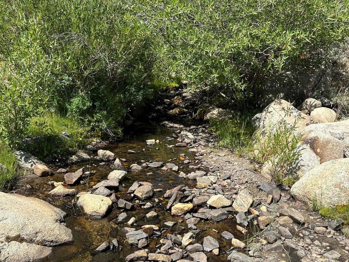 Abel Creek trail photo