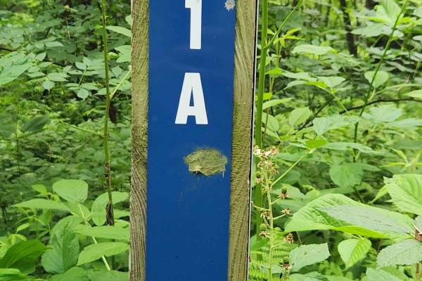 Trail 1A - Rock Run Recreation Area