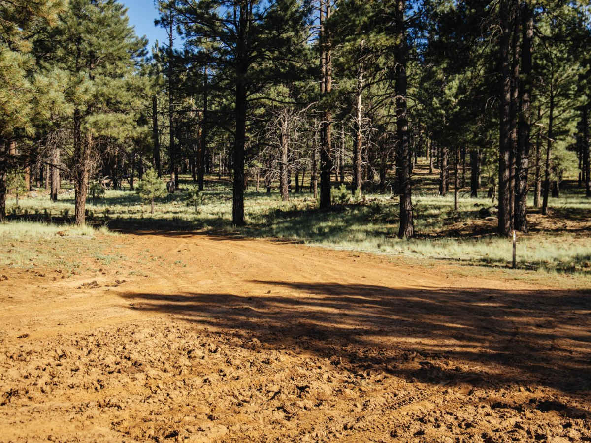 134 trail photo