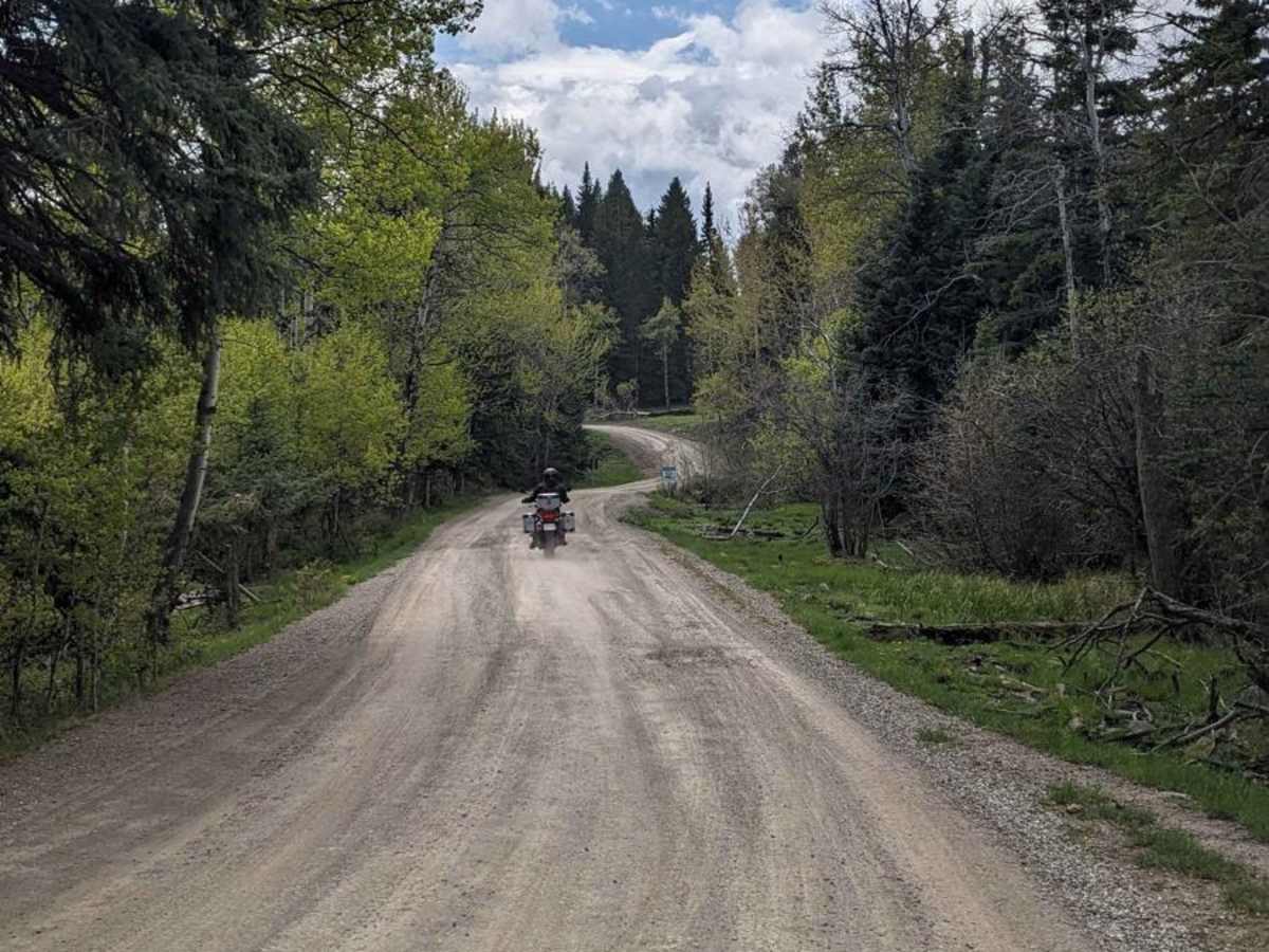 East Lynx Creek Trail photo 4