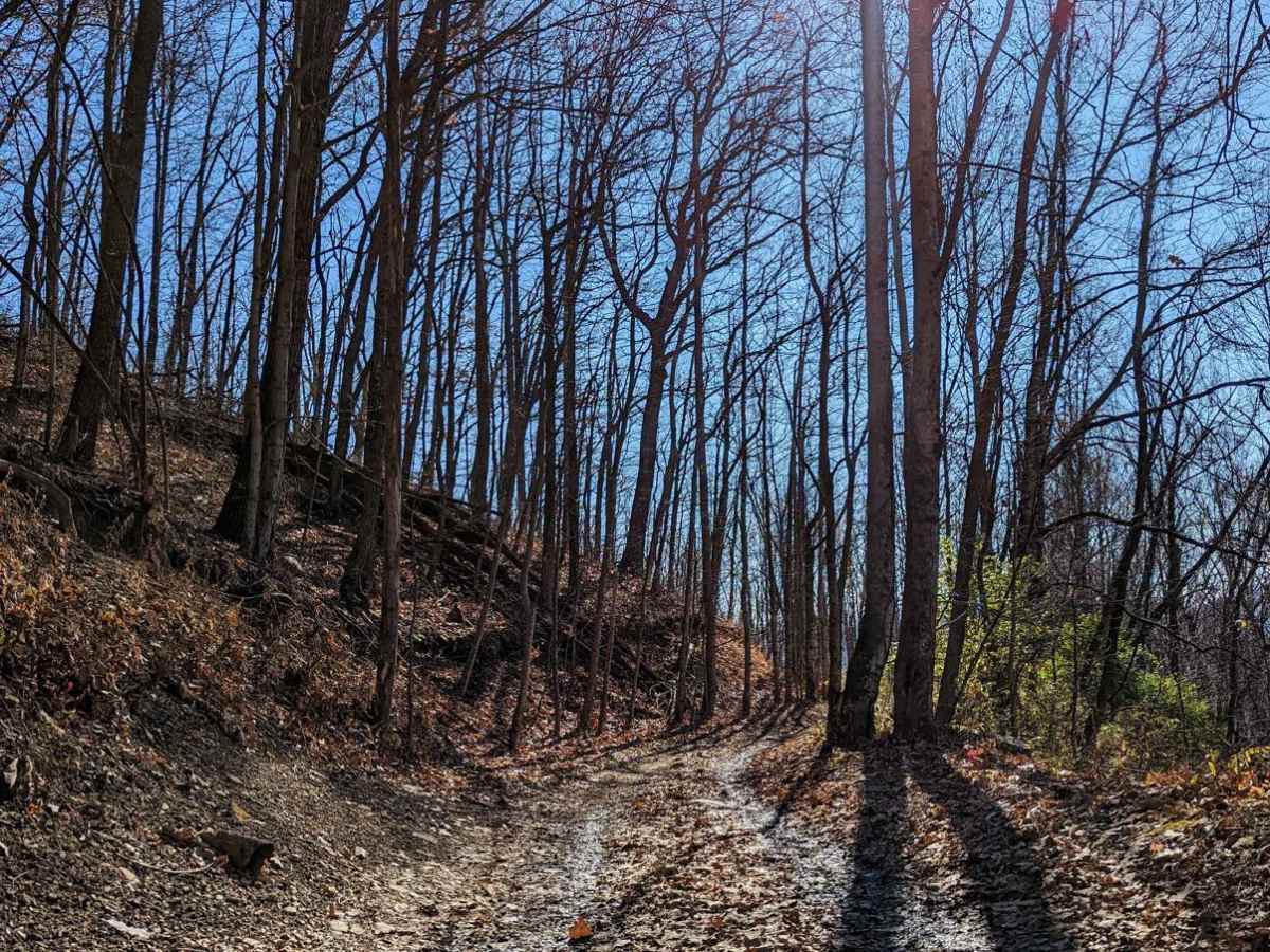 Trail 43 trail photo