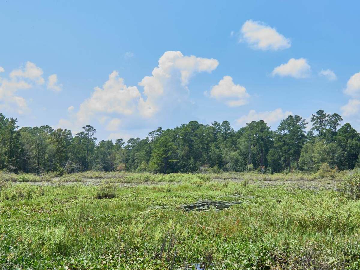Fish Pond - Rookery Overlook photo 2