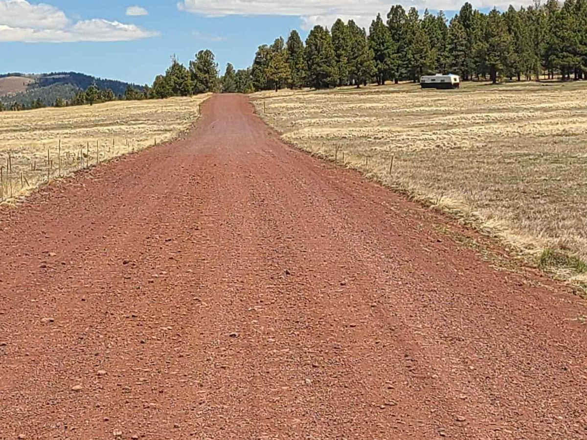 Forest Service Road 112 photo 2