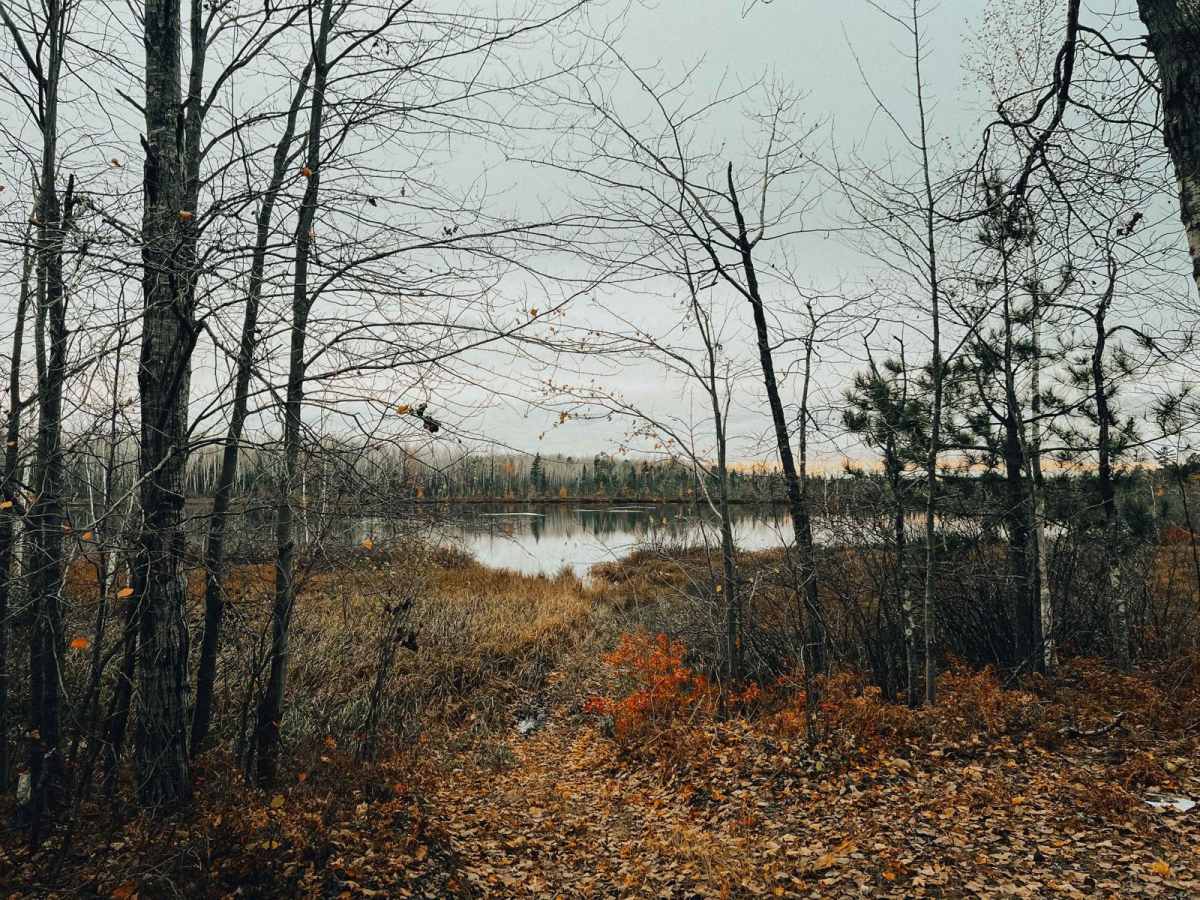 Westman Lake Logging Route photo 3