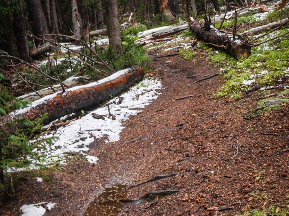 Cameron Gulch photo 5