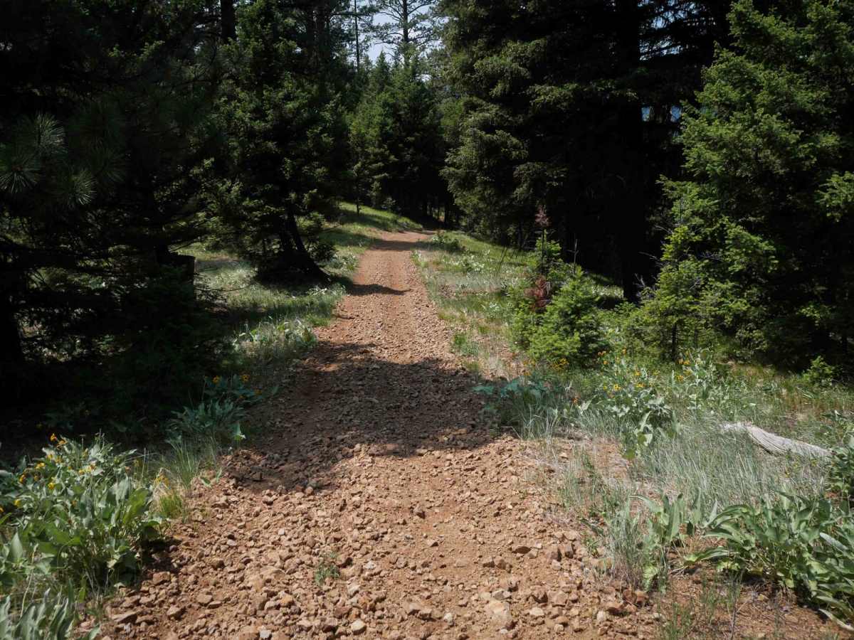 Trail #185 (Part 1) photo 2