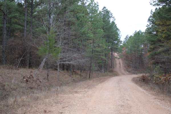County Roads to Sour Springs
