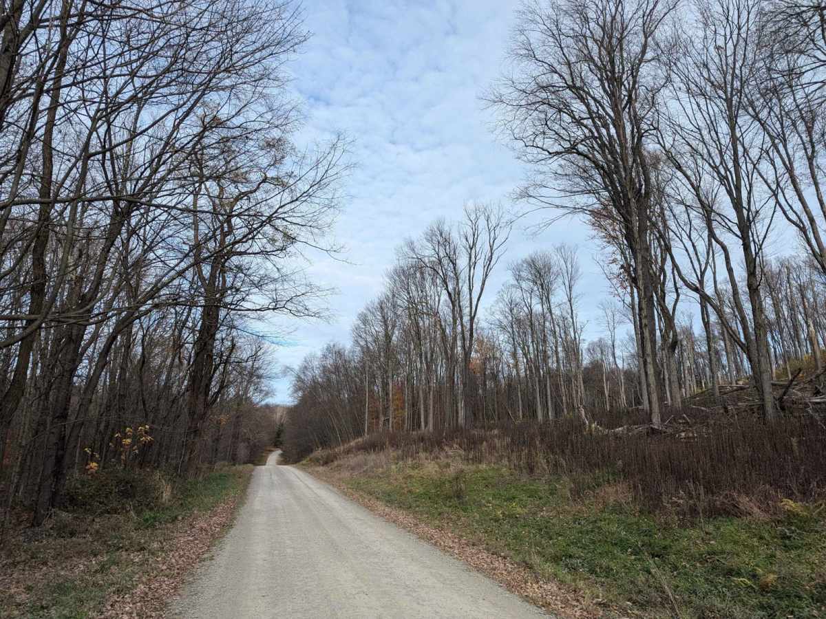 Fox Road photo 2