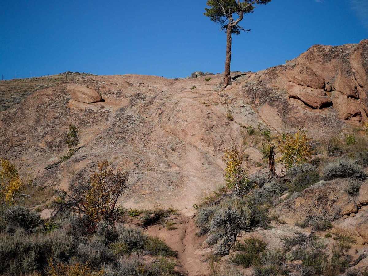 Ring Dike trail photo