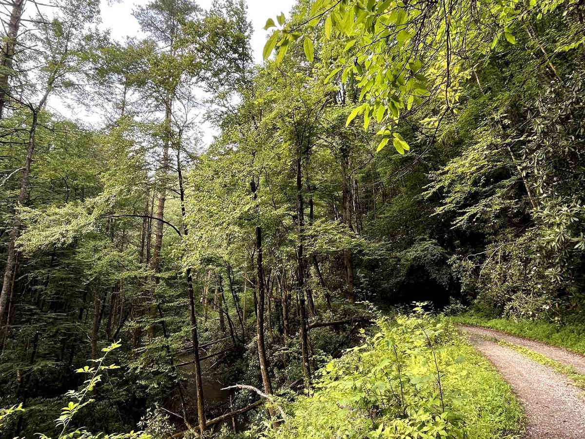 Foster Branch Road photo 4