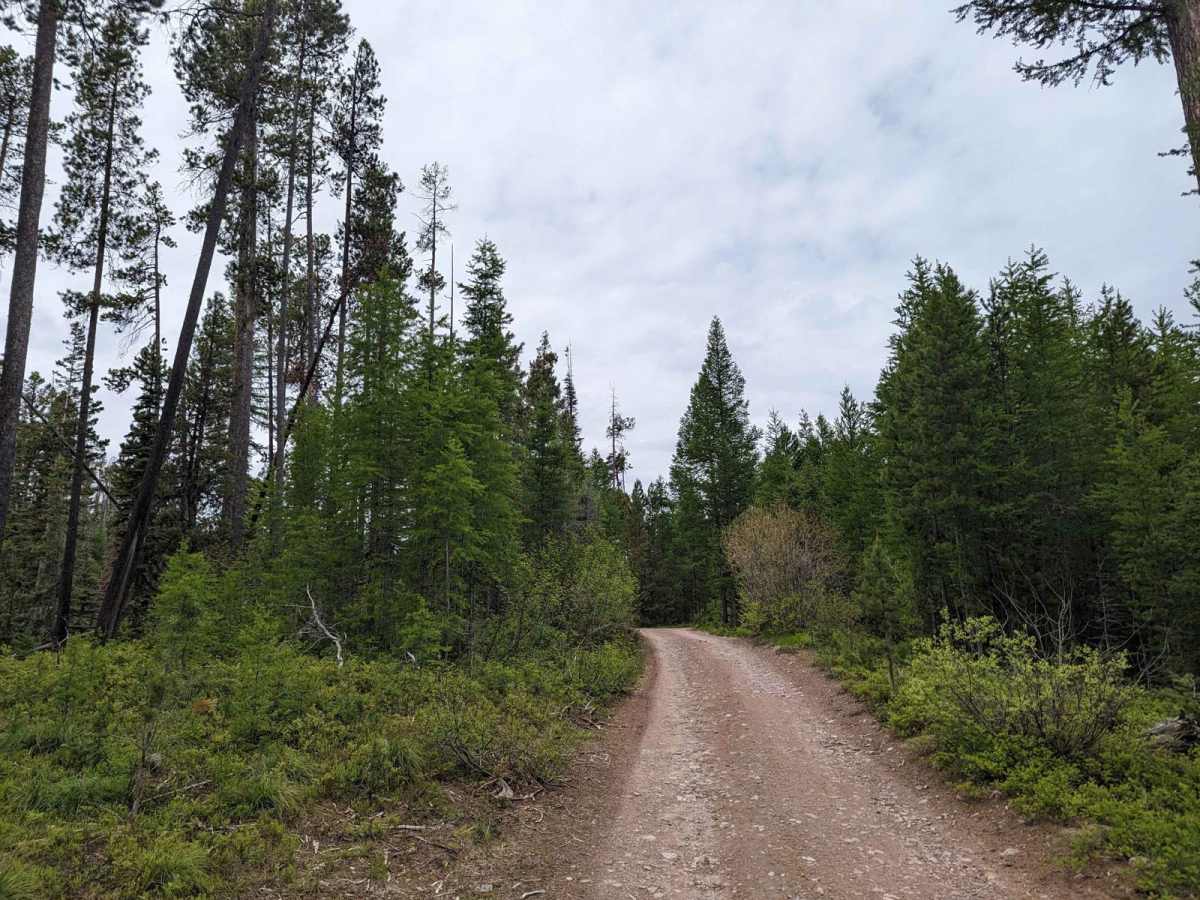 Spook Lake Trail (FS4337, FS16095, FS17541) | Off-Road Trail Maps ...