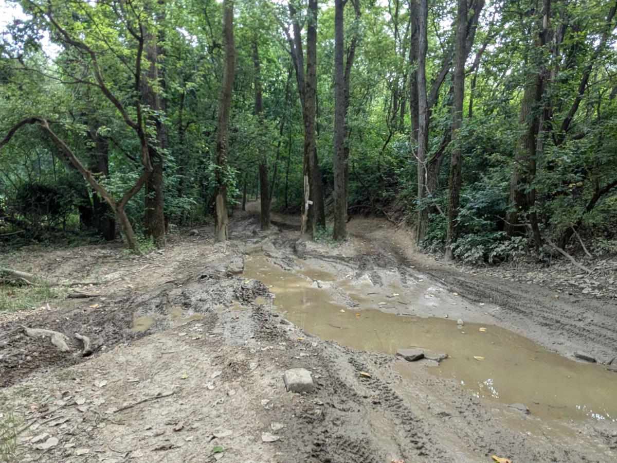 Border Trail (Part 1) photo 3