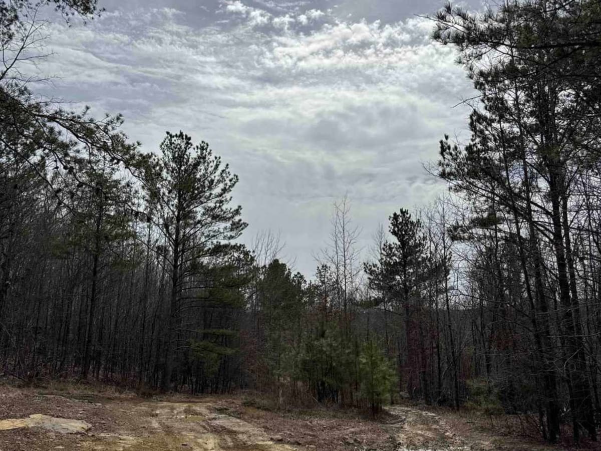 #71 Thompson Trail photo 5