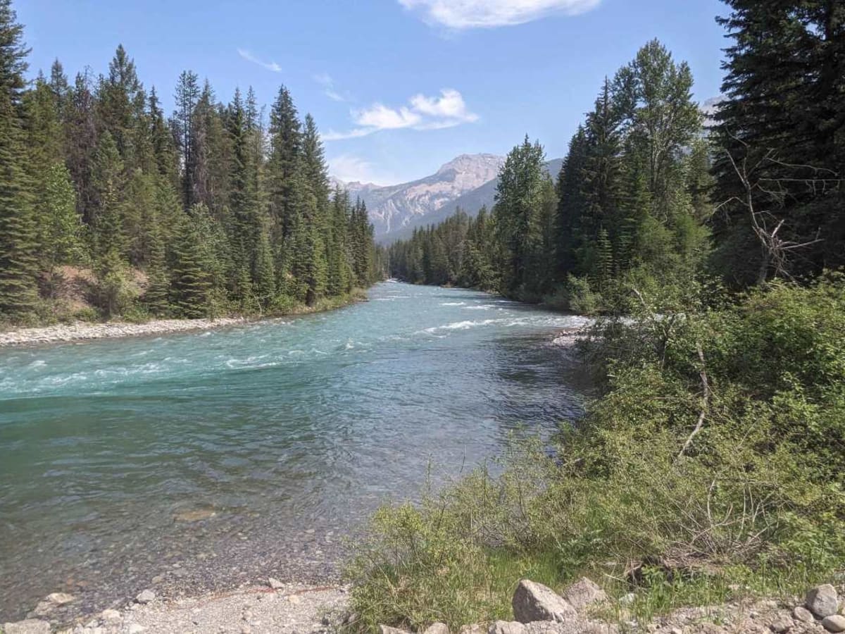 Sulphur Creek Trail photo 6