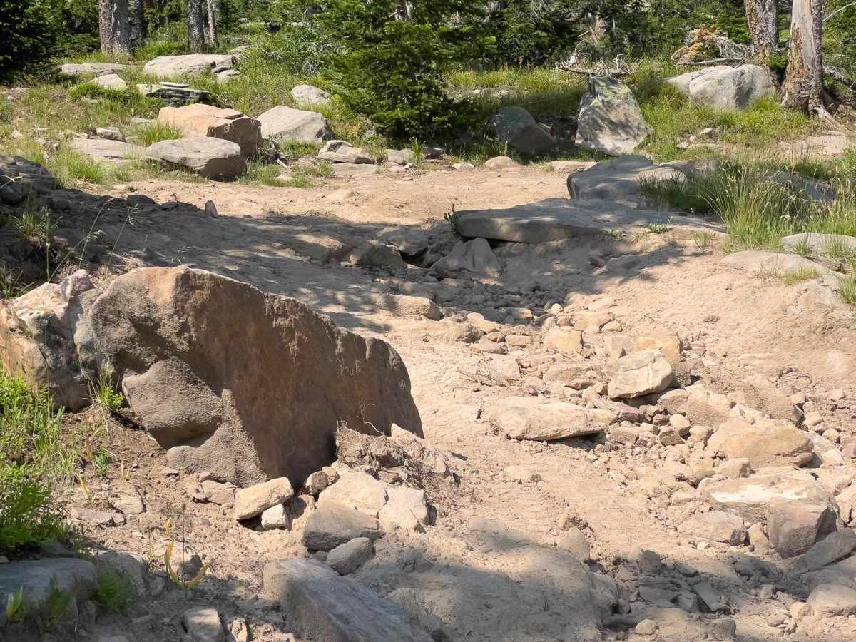 Pit & Page S (FR 83135) trail photo