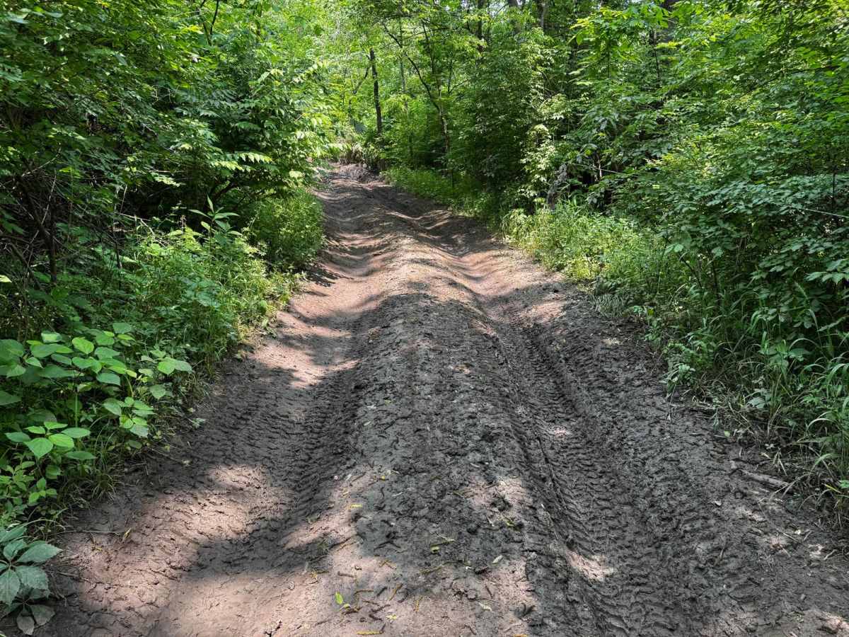 Pioneer Trail 99 photo 3