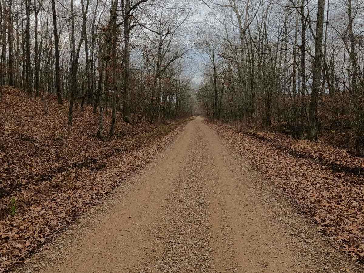 Wayne County Road 537 photo 4