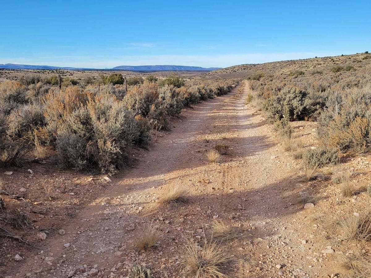 Little Joe Draw trail photo