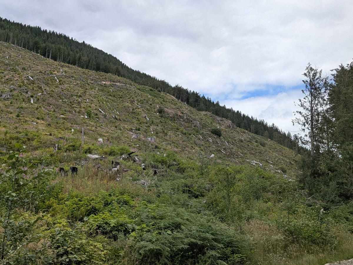 Gordon River Road North photo 6