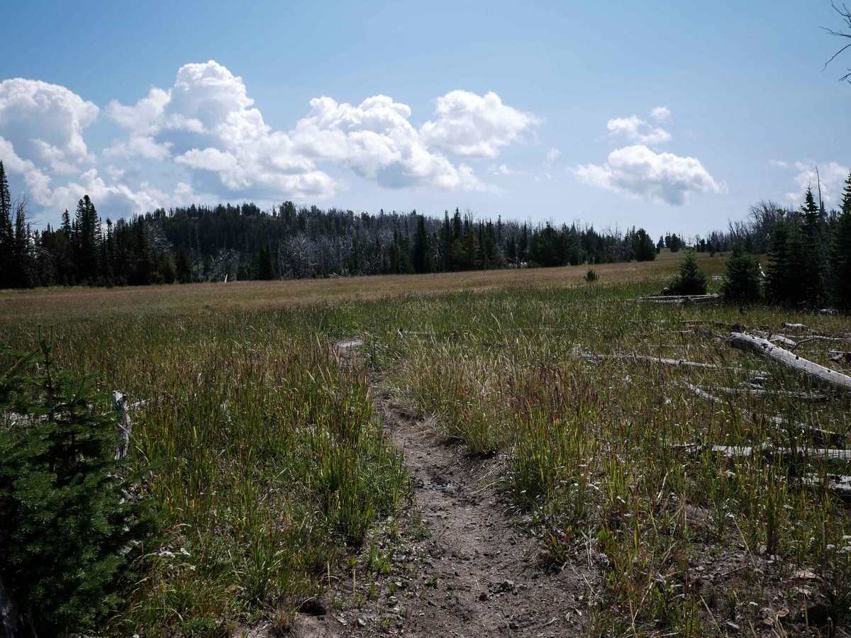 Cabin Creek photo 3