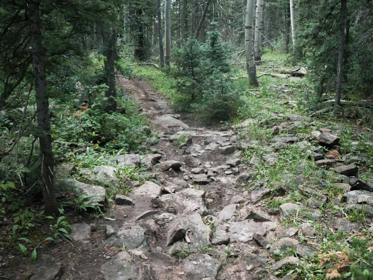 Morrison Trail (Part 1) photo 2
