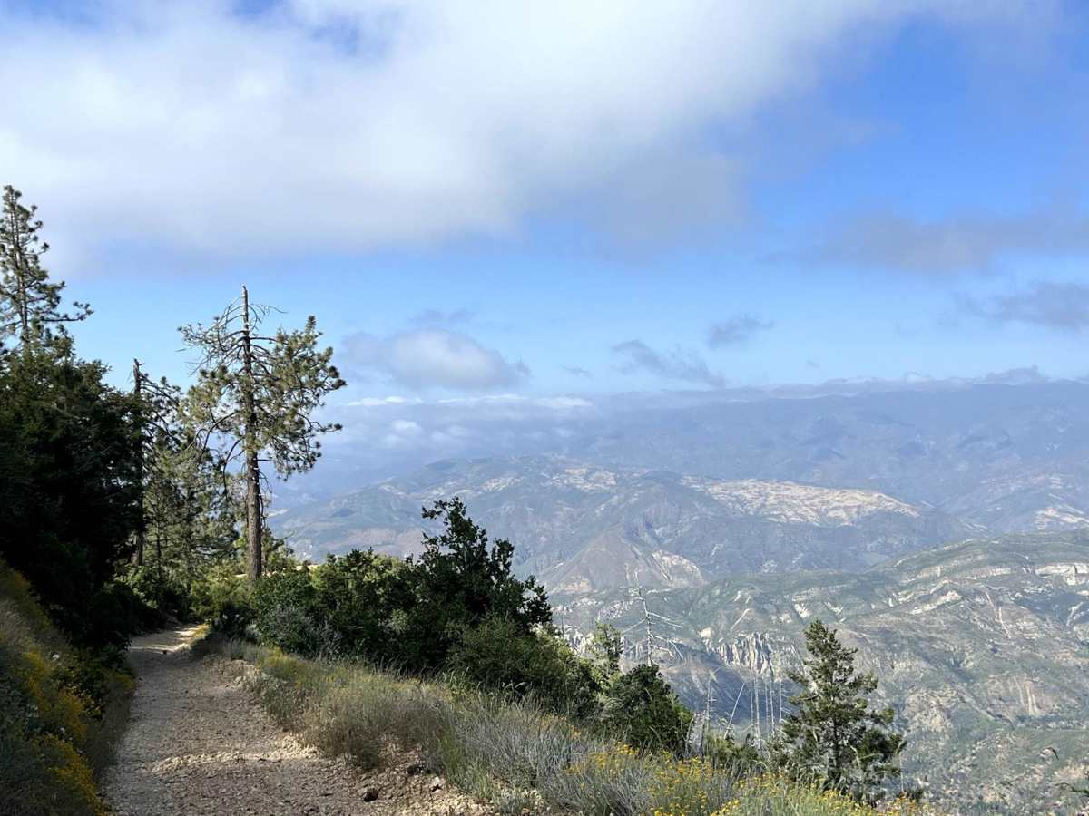 Zaca Ridge Road trail photo