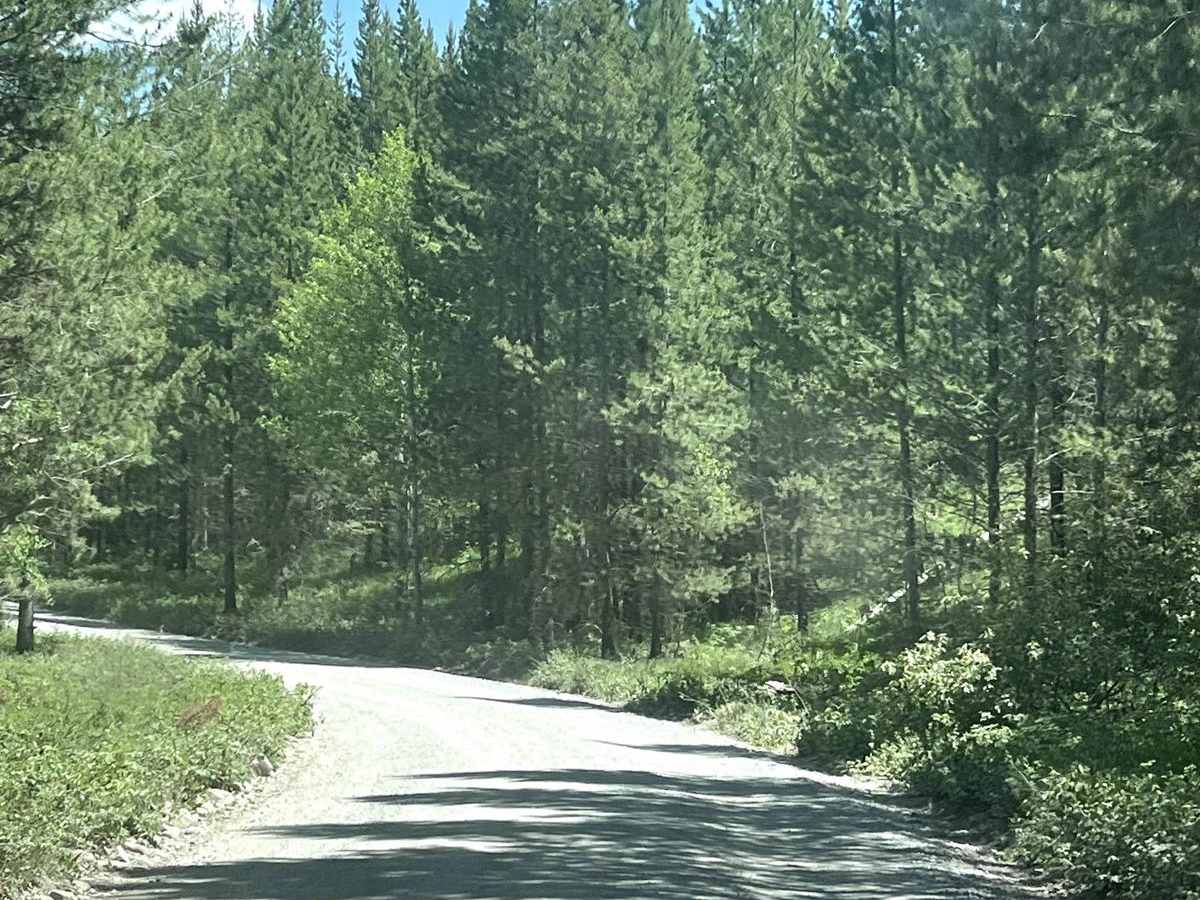 Bowman Lake Road photo 3