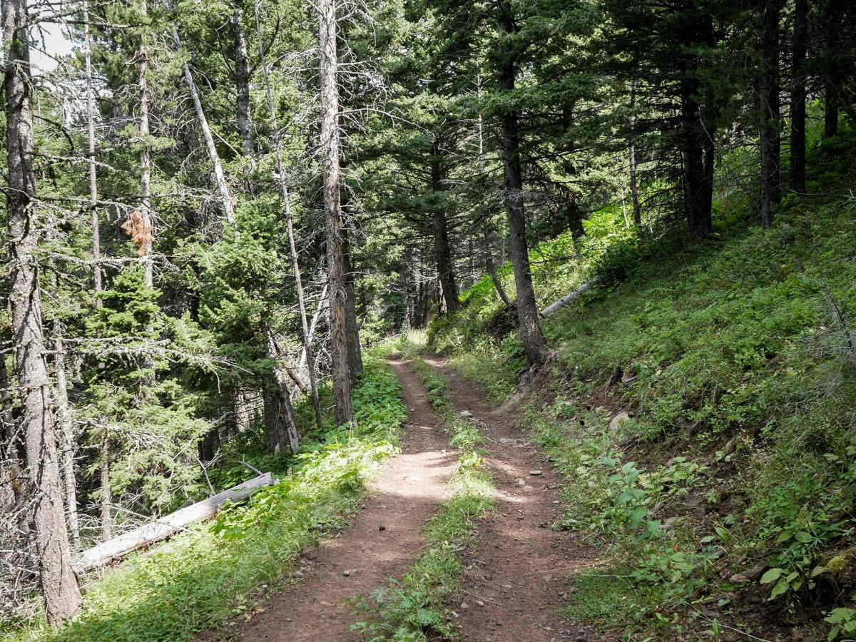 Bangtail Creek Loop ATV photo 3