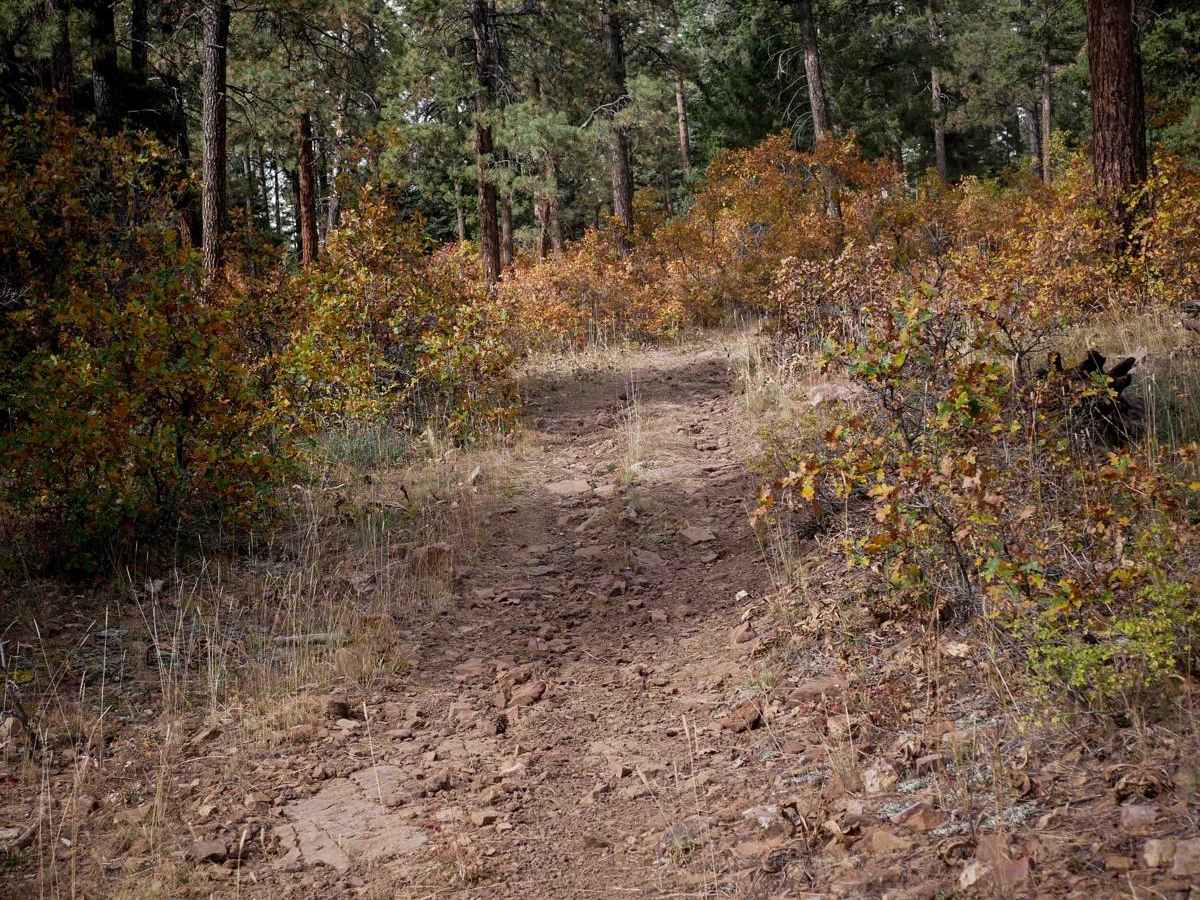 Mule Mountain Spur 2 photo 4