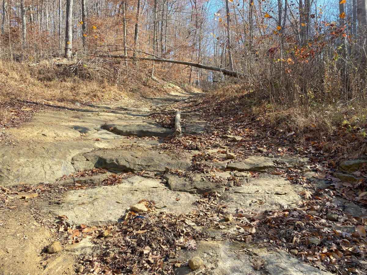 Blue Creek Road - Tar Hollow Trails photo 6