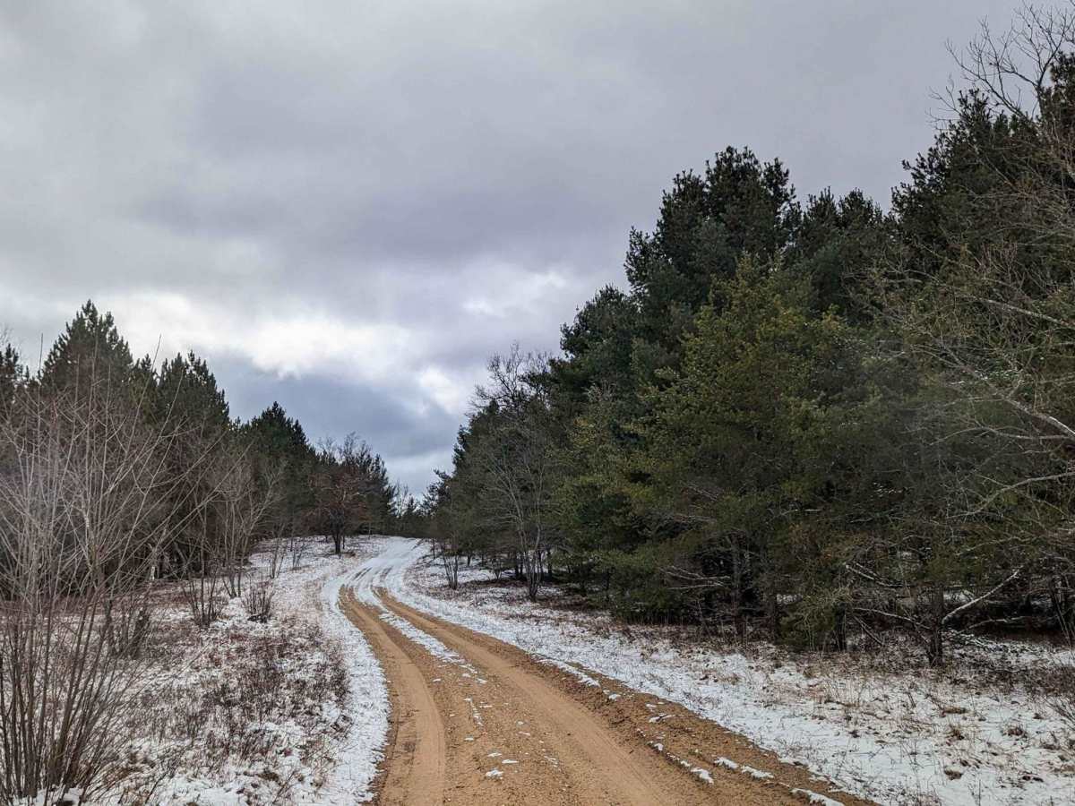 Oyster Road/4476 photo 5