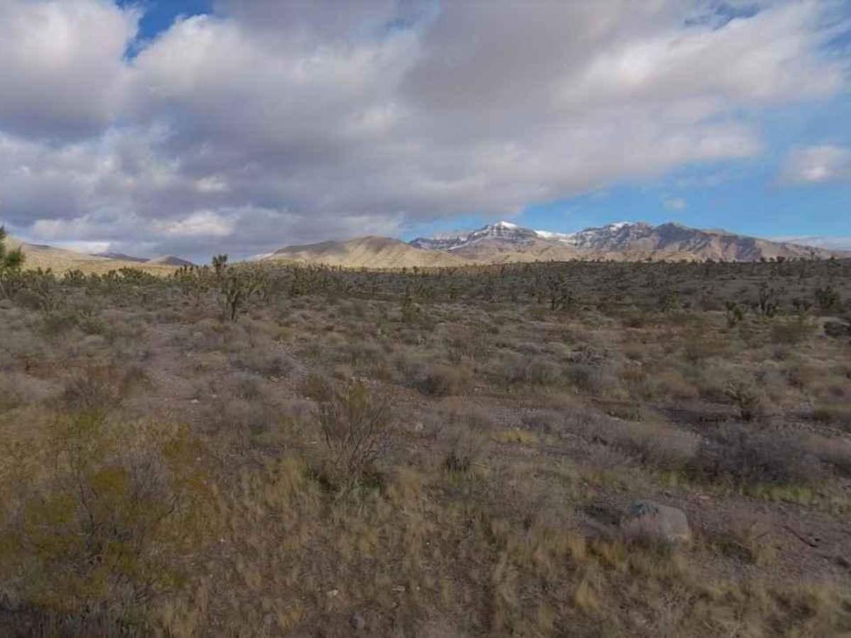Waterline Road-BLM30086 photo 4