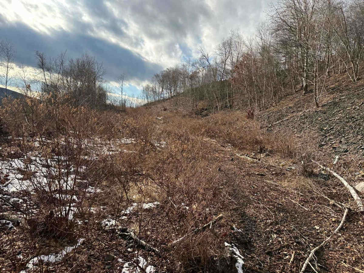 Ashland 188 photo 3