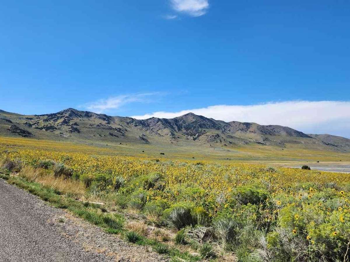 Southeast Promontory Road photo 3