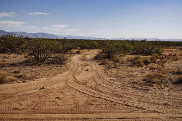 Sols Tricky Washout