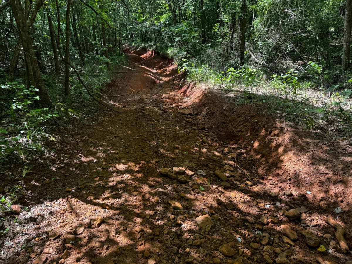 Jeepy Hollow photo 6
