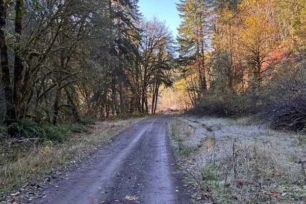 Butler Creek Mainline