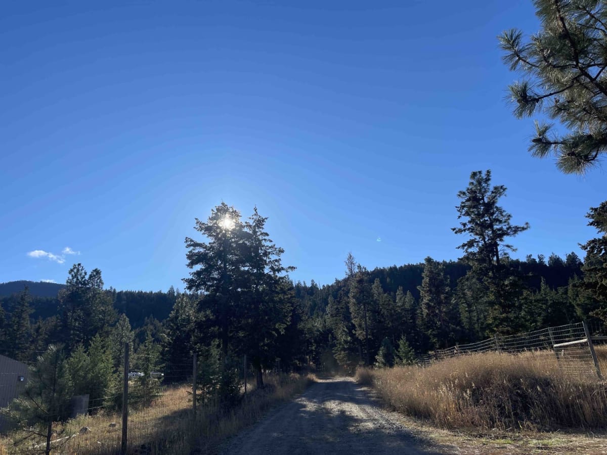 Pinaus Lake to Tuktakamin Lookout trail photo