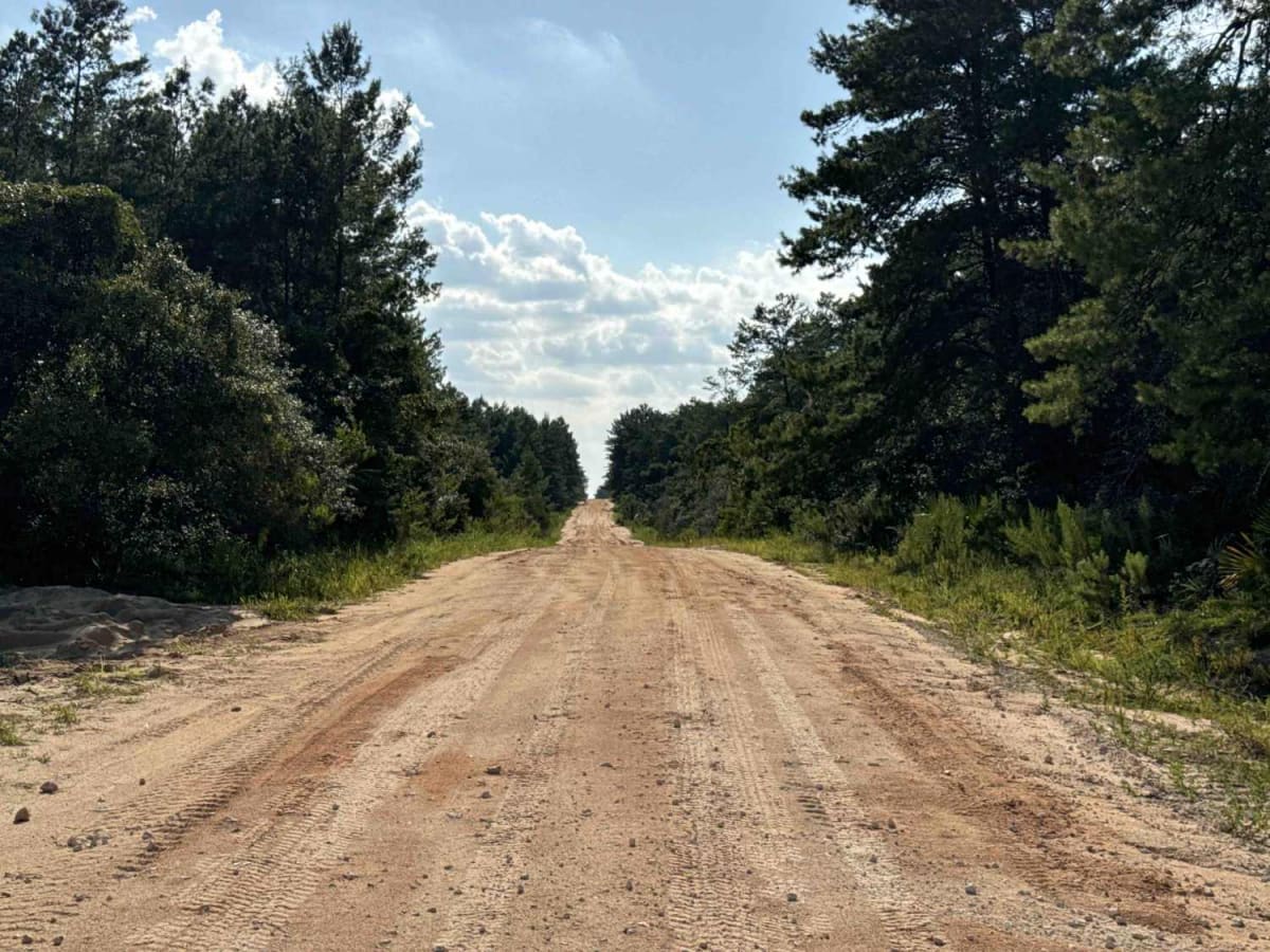 Volusia Trail - ONF 22 photo 3