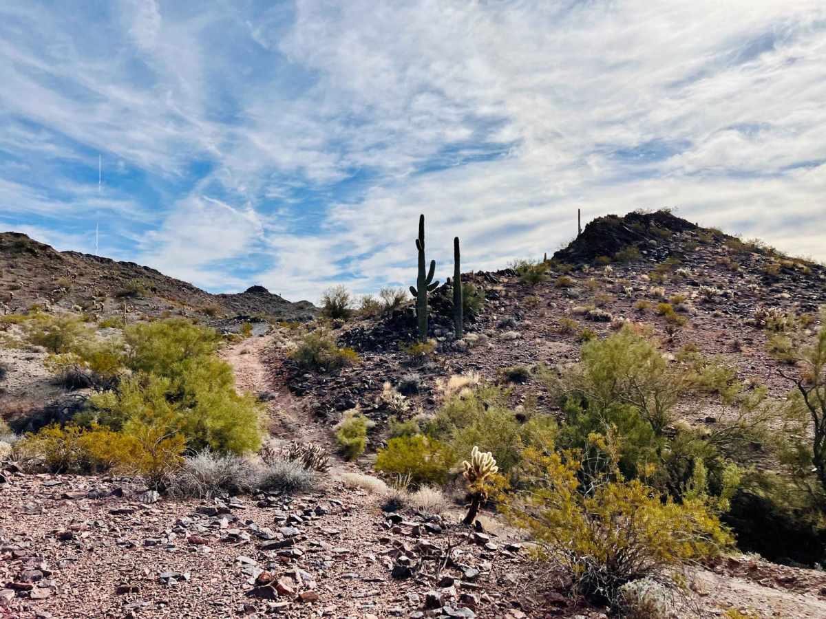Rocks, Mines, and Cactus trail photo