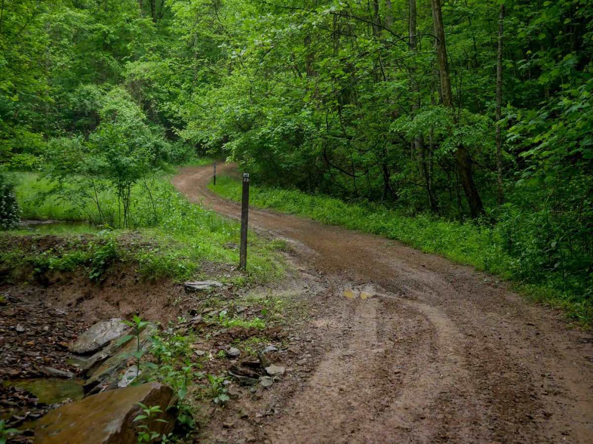 T23 trail photo