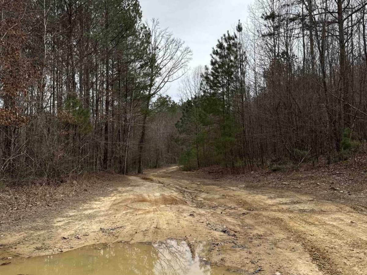 #96 Charlie's Trail photo 6