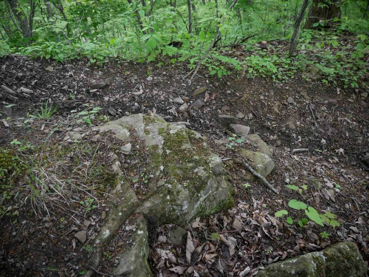 BM 197 photo 2