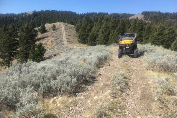 Picnic Ridge Trail