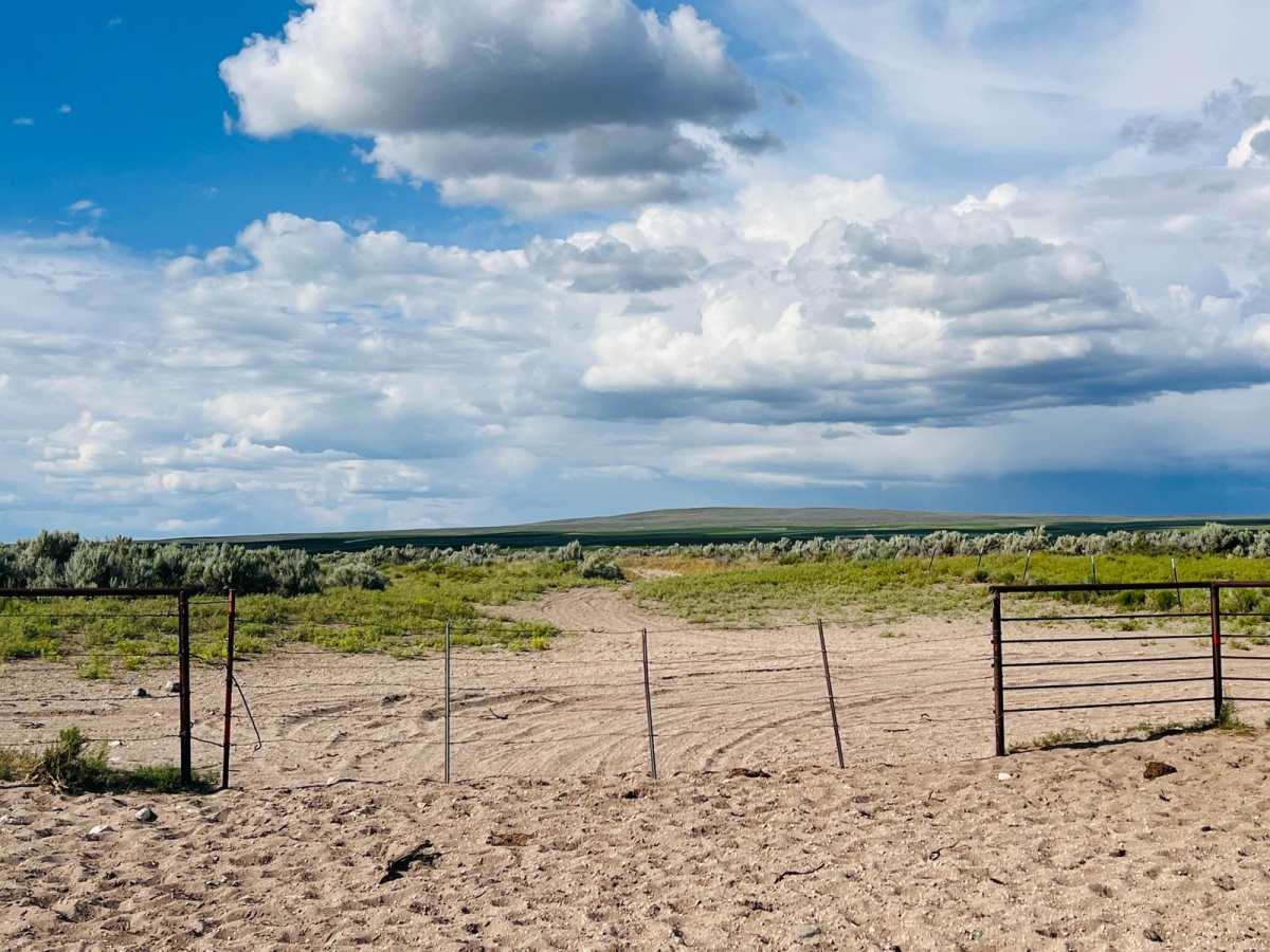 St. Anthony Sand Dunes Western Access photo 6