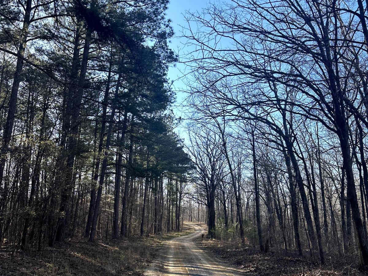 Bogard Cemetery Road photo 3