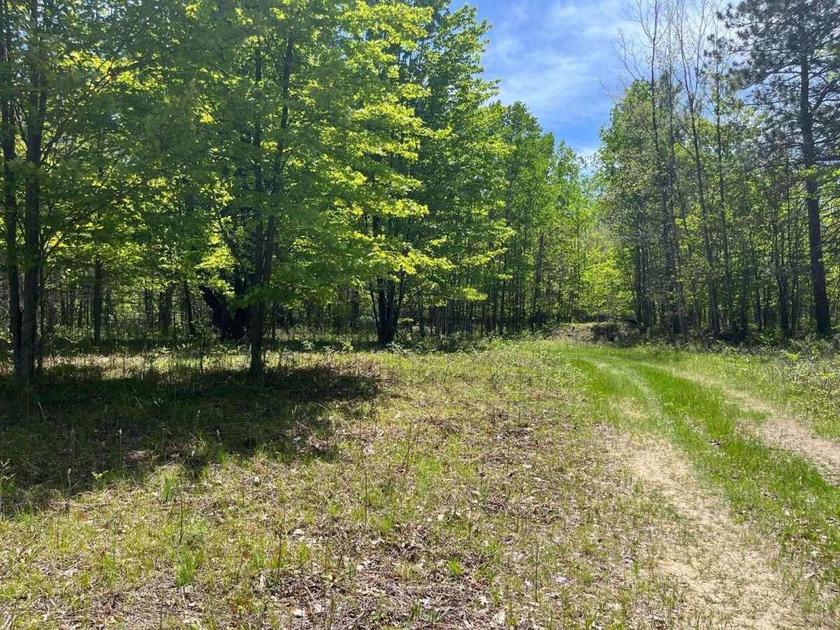 Cadillac Pathway photo 5