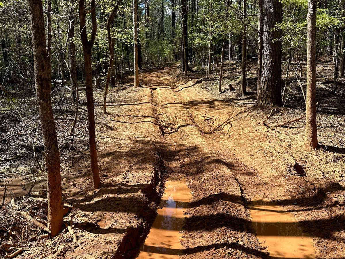 Trail 42 photo 6