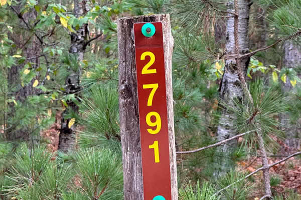 Neighbor Lake - FS 2791