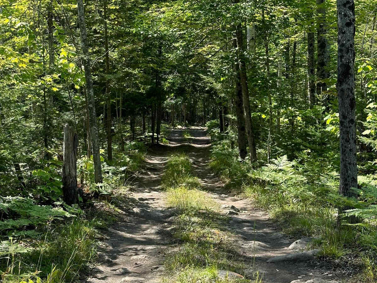 Lower Citadel trail photo